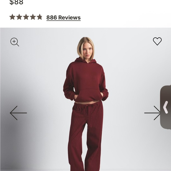 SKIMS Cotton Fleece Classic Hoodie in the color Brick - Picture 3 of 4